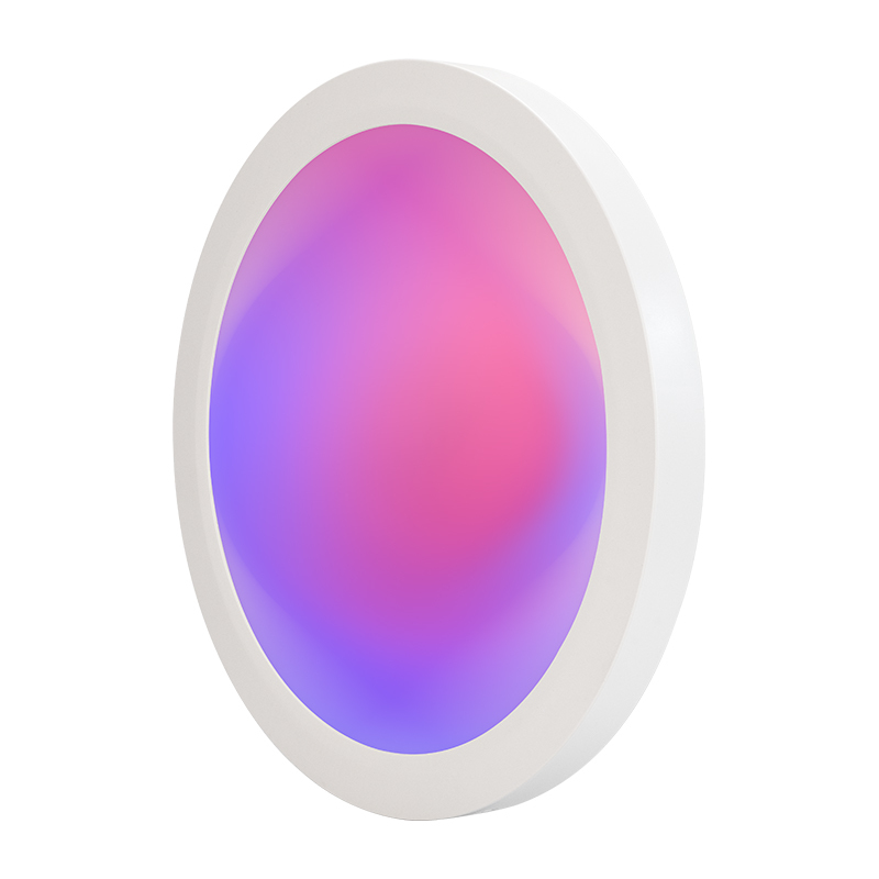12 Inch Smart Home Ceiling Light Fixture,20w Dimmable Brightness Front Led Light Fixture RGB for Bedroom WiFi App Control