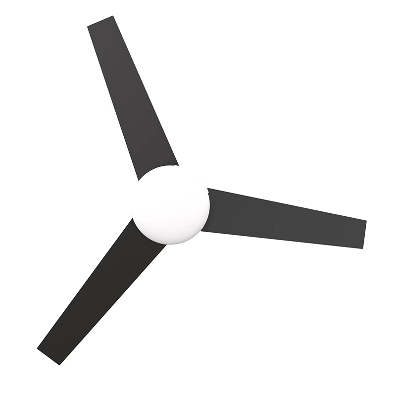 Ceiling Fan With Light